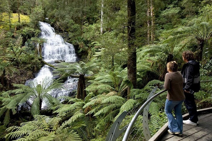 The Great Otway National Park Melbourne
