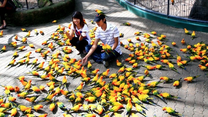 Couple at Safari World and Marine Park Bangkok