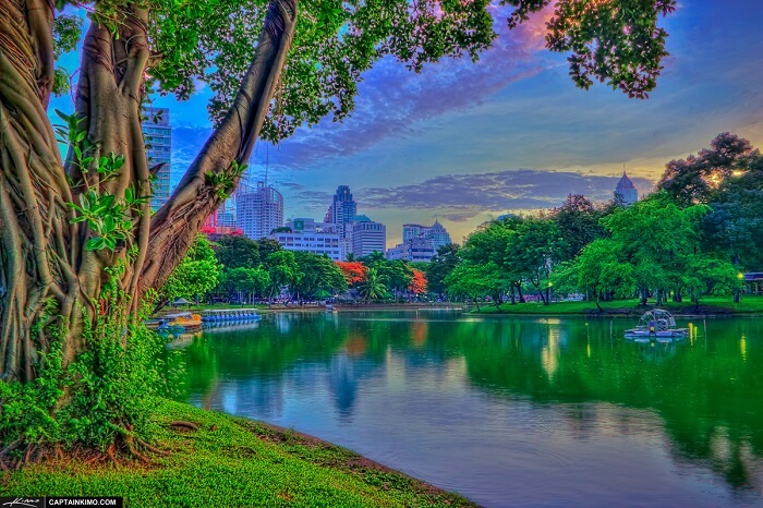 Lumpini Park Bangkok Before Sunrise