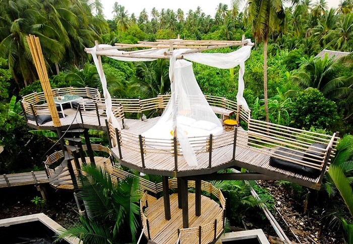 Bangkok Tree House