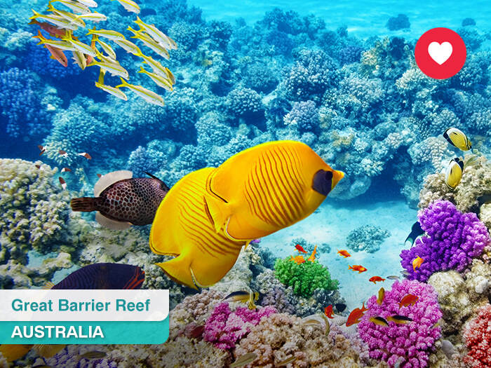 Great Barrier Reef in Australia