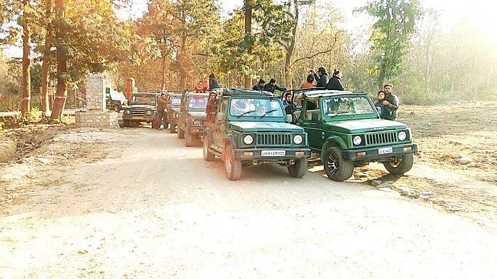 Jim Corbett Safari