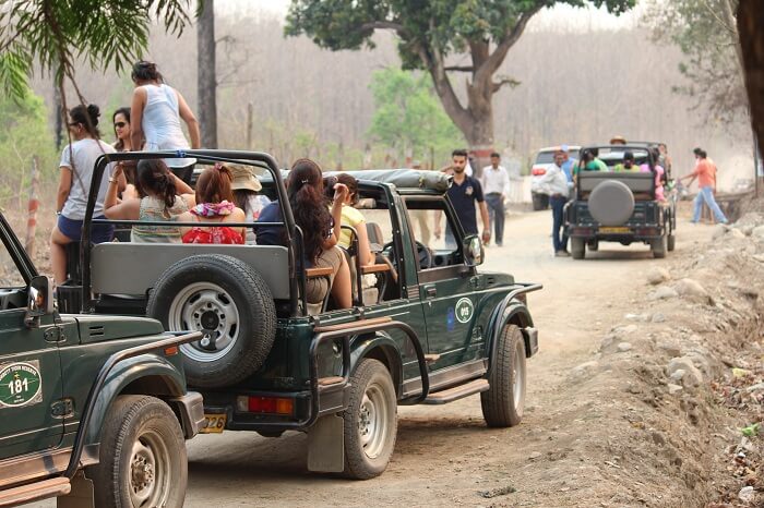 Jeeps leaving for the jungle safari at Jim Corbett