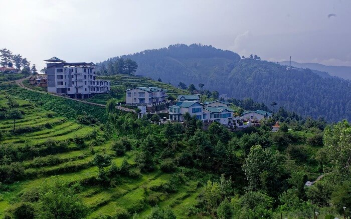 View of Mashobra