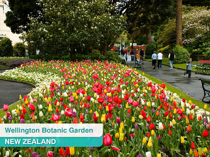 Wellington Botanic Garden in New Zealand