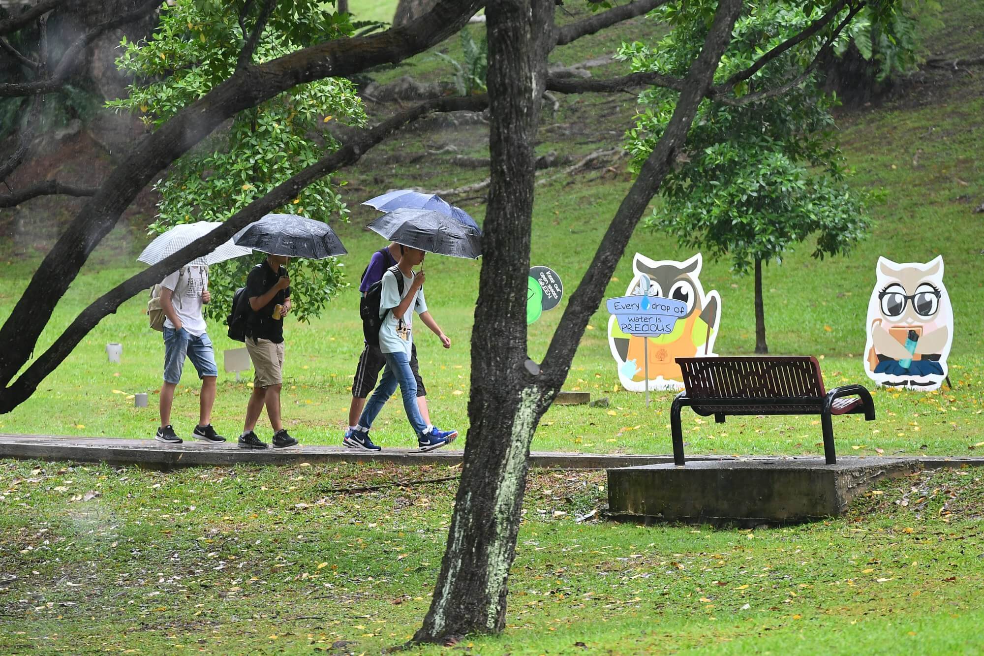 people carrying umbrella in rain