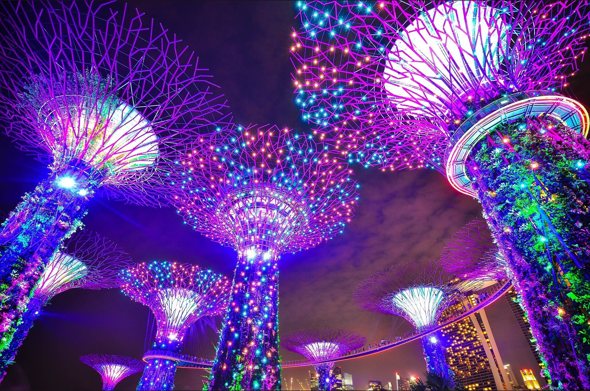 treelike structures lit with lights