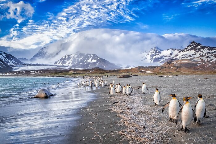 Katabatic winds encroach on St. Andrews Bay on South Georgia