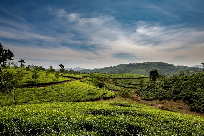 try to be little adventurous in Vagamon