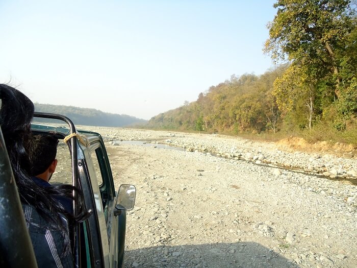 on the way to jungle safari