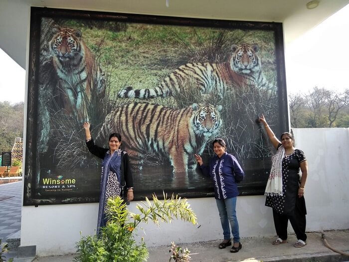 we saw the tigers