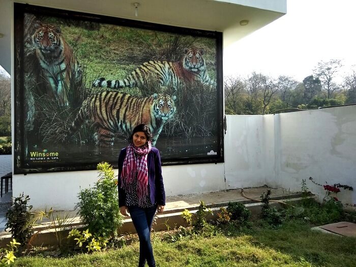 picture with tigers in the picture