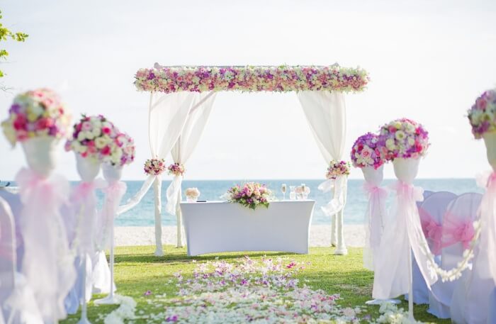 Beautiful Flowers View