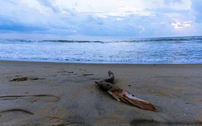 View of Cherai Beach - one of romantic places in Kochi