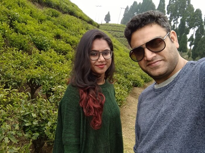 tea gardens in darjeeling