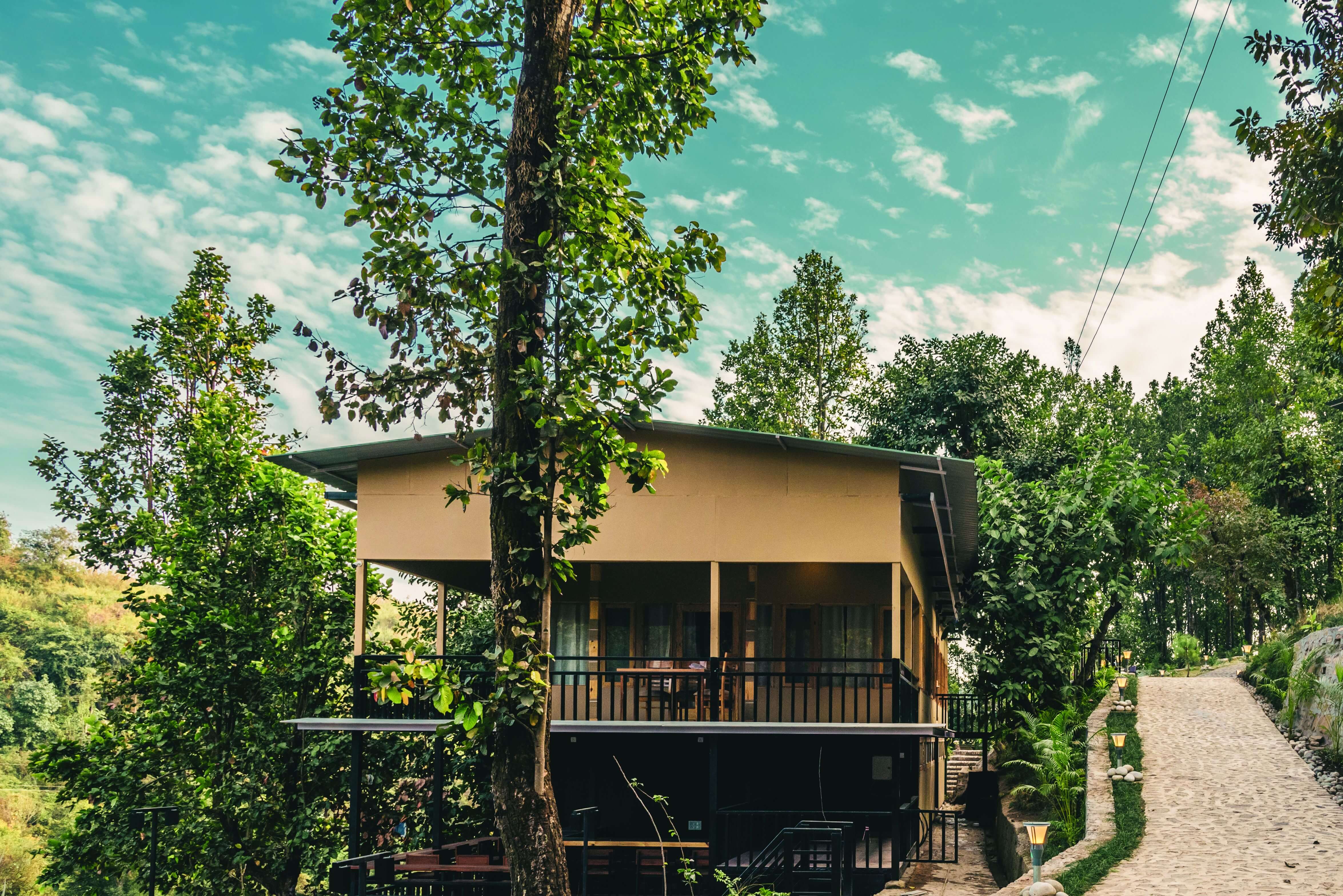 Salwood resort surrounded by Sal trees