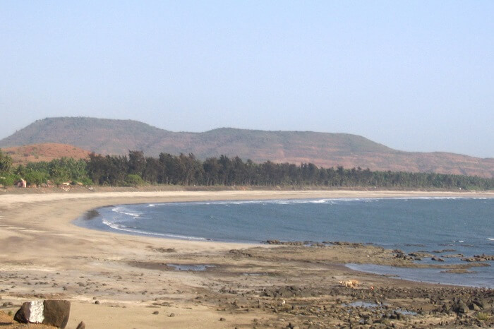 Kondivali_beach