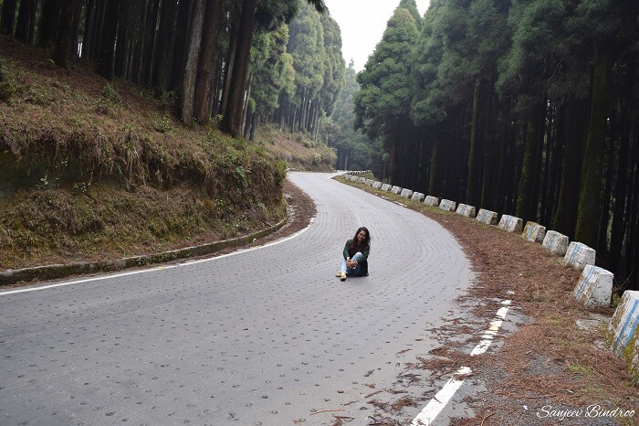 On the road to Mirik Lake