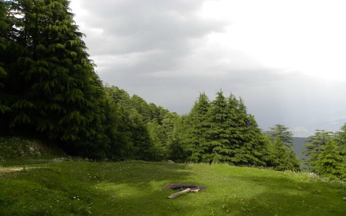 Shot of Kalatop Khajjiar Sanctuary