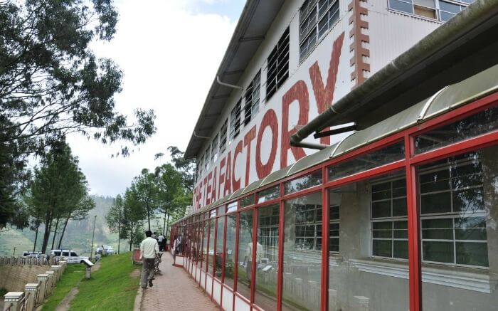 Tea Factory and museum in Ooty