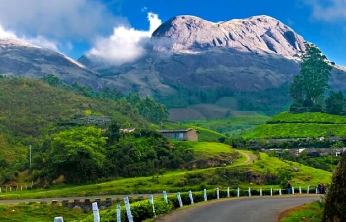 A view of mountains and lush greenery in Nelliyampathy near Munnar