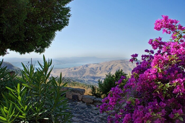 A beautiful shot of Umm Qais located in Jordan