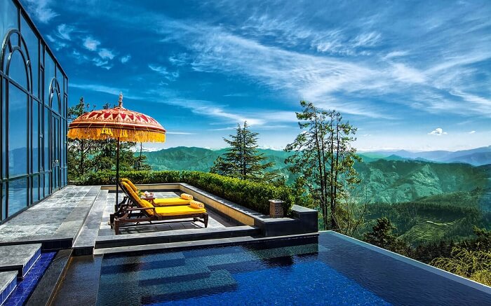 shimla wildflower
