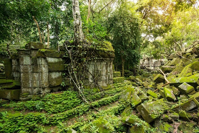 Beng Mealea temple ruins in the middle of jungle in Cambodia