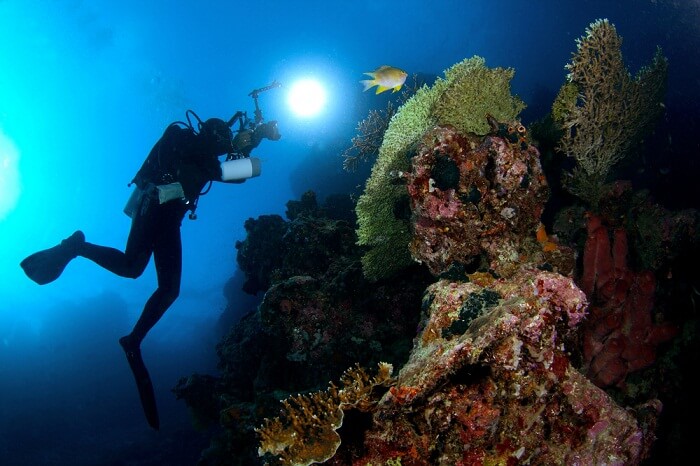 The underwater scenery at Menjangan island