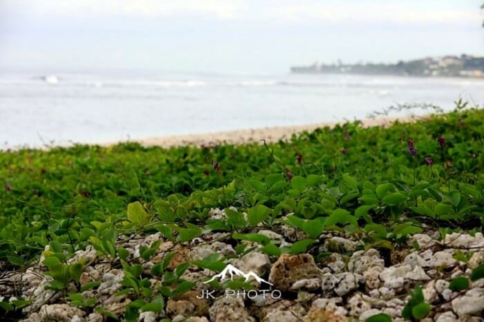 Reunion Island, France