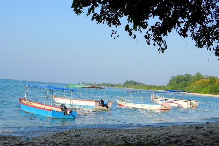 Neil Island, Andaman