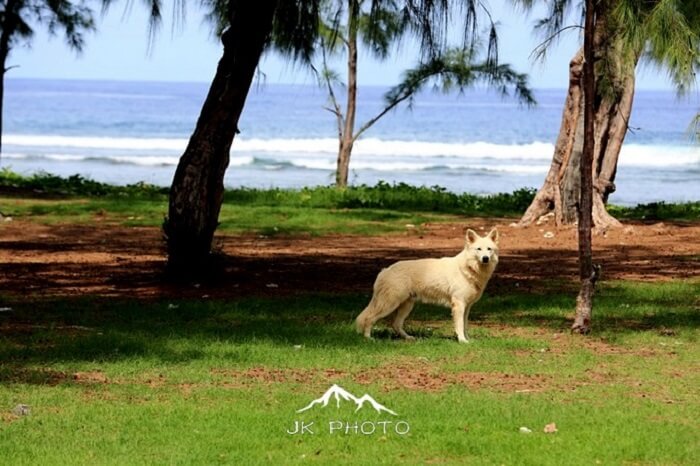 Reunion Island, France