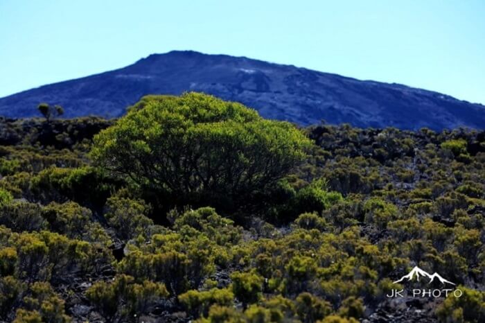Reunion Island, France
