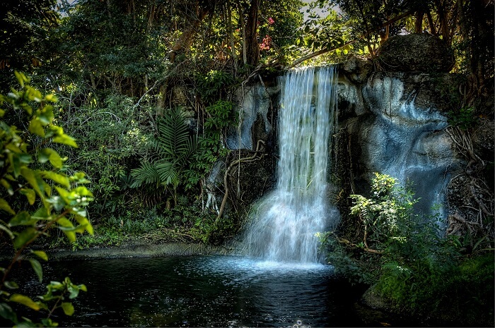 romantic garden in Grand Bahama Island