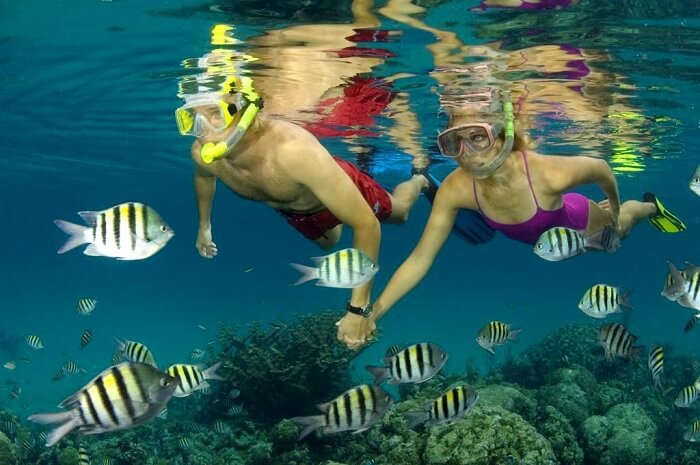 Snorkeling in Grand Bahama Island