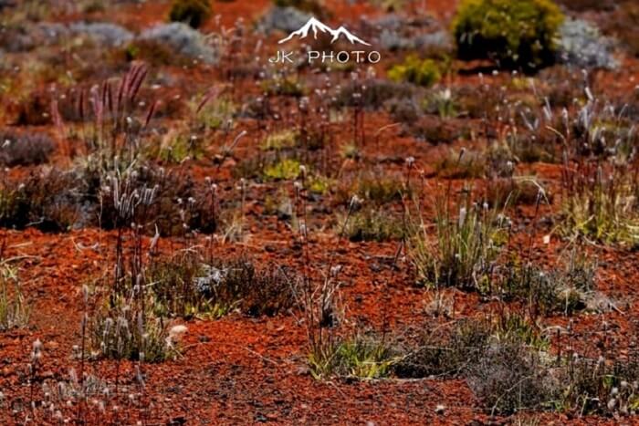 Reunion Island, France