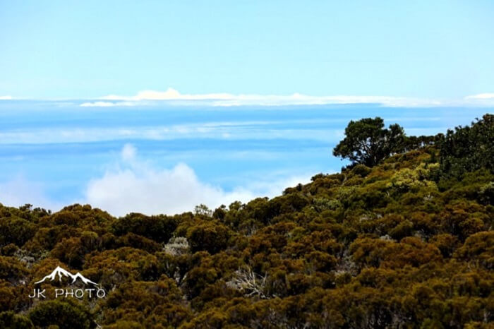 atop a volcano in Reunion Island, France