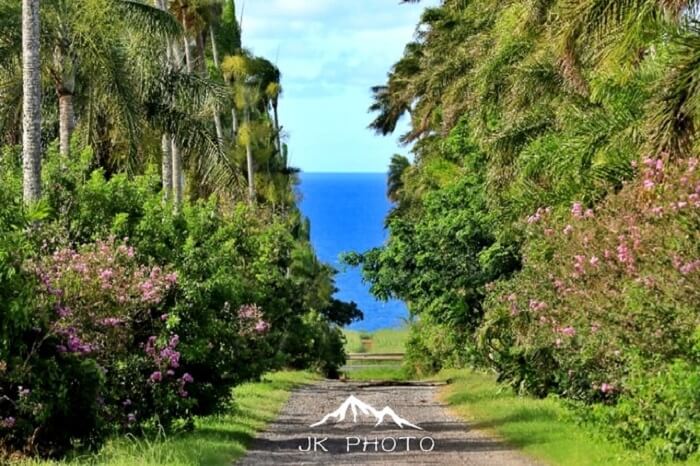 beach in Reunion Island, France