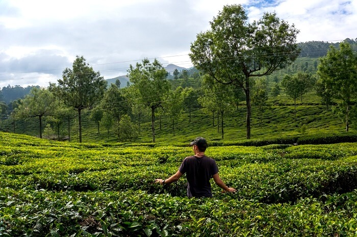 natural attractions in Kerala