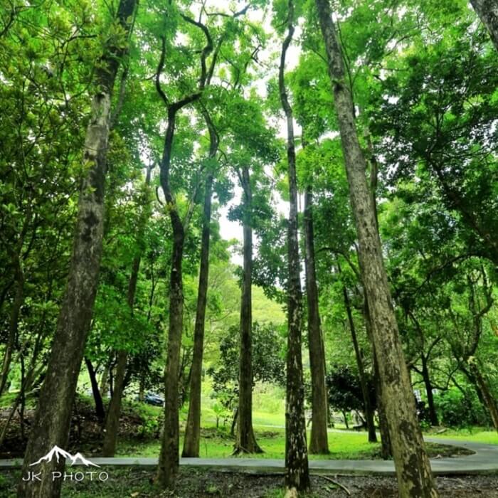 Reunion Island, France