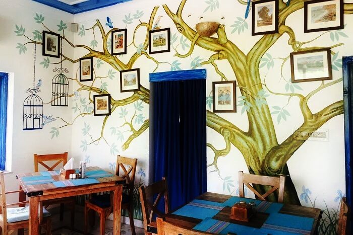 Taruveda Bistro, Jaipur