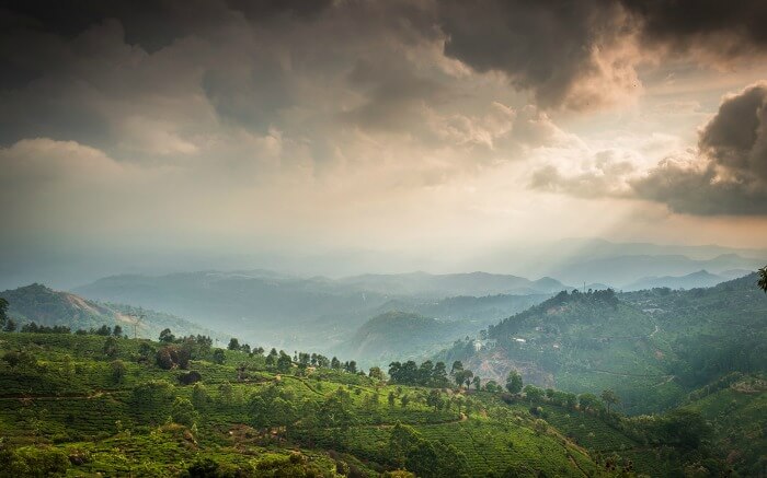 View of Dhanachuli