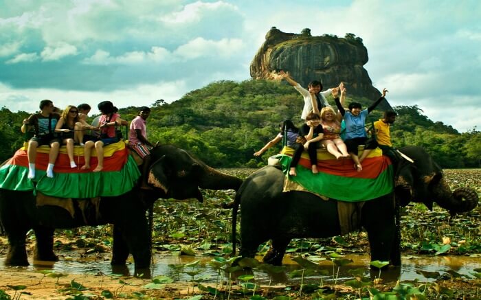Ecstatic tourists taking joyride on elephants in Kandy