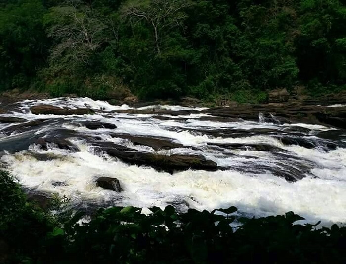 Waterfalls in Kerala