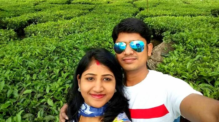 tea gardens in munnar
