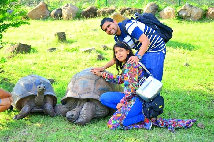 at botanical garden with a tortoise