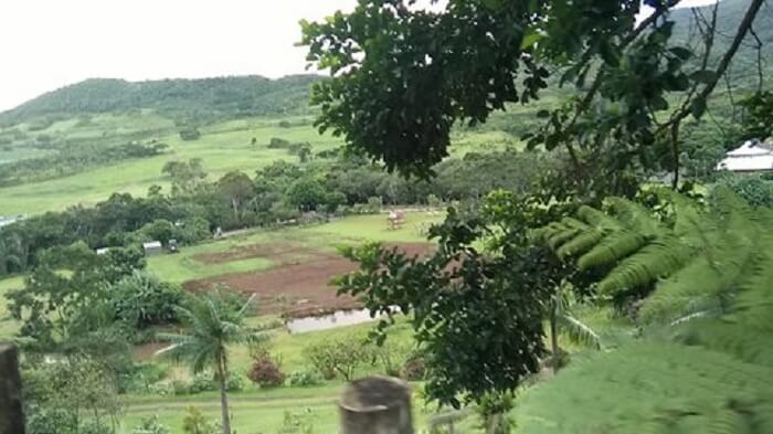 chamaral waterfall in mauritius