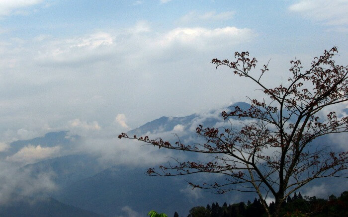 Kalimpong