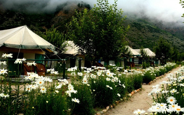 Mornings at the Banjara Camp in Sangla