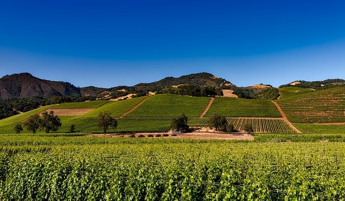 Napa Valley, California